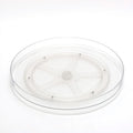 360° Rotating Kitchen Rack – Turntable Organizer with Dividers (30cm)